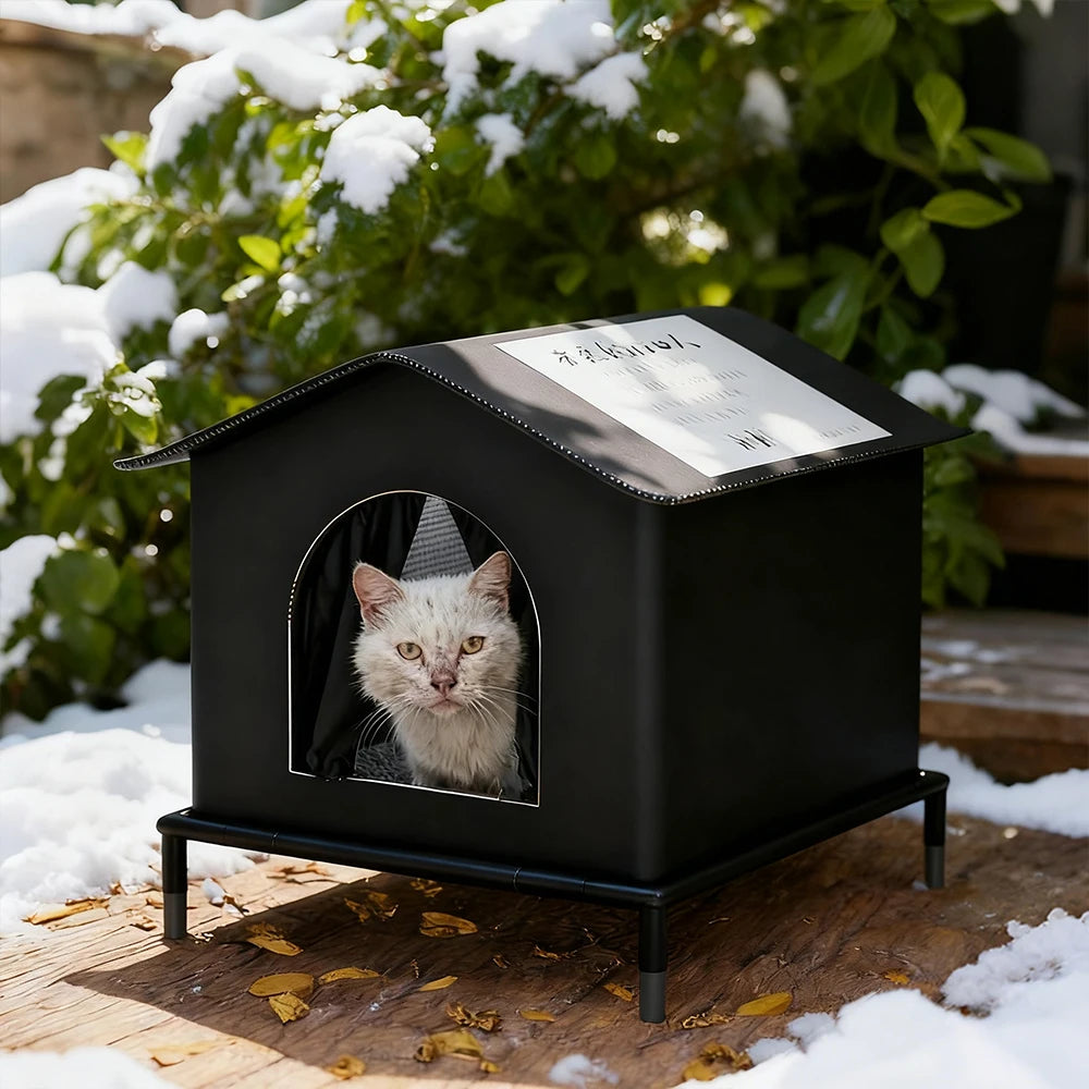 Cat House